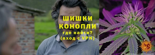 бошки Осинники